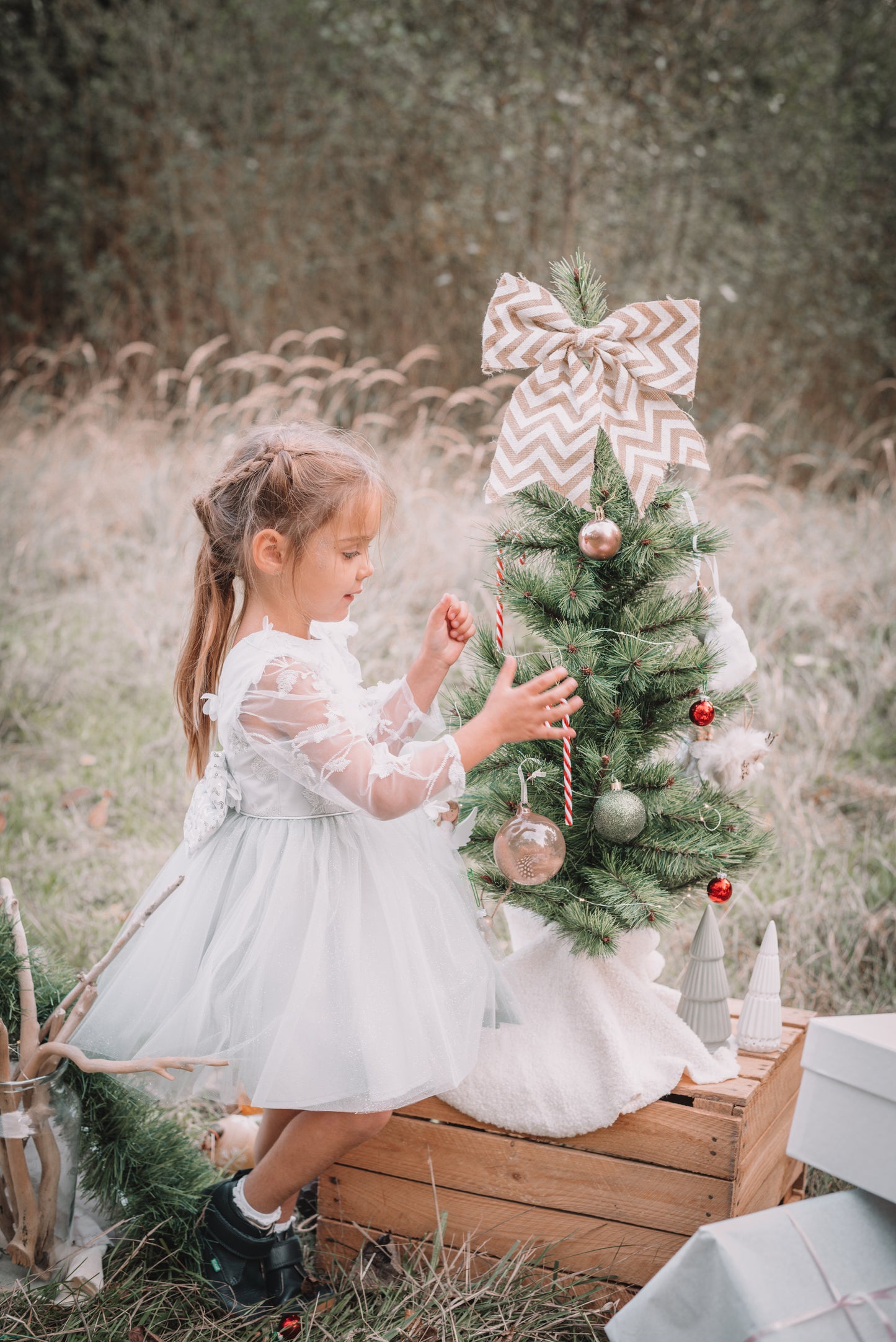 Modèle Meringue - robe de fêtes argent